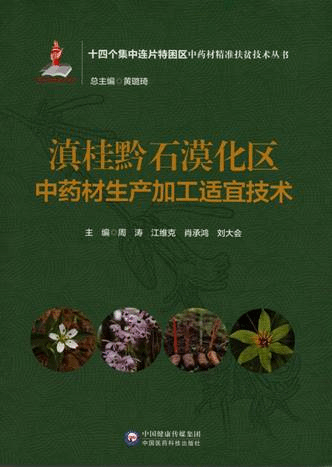 1.滇桂黔石漠化区中药材生产加工适宜技术-2021.09（21.12.15）_页面_1