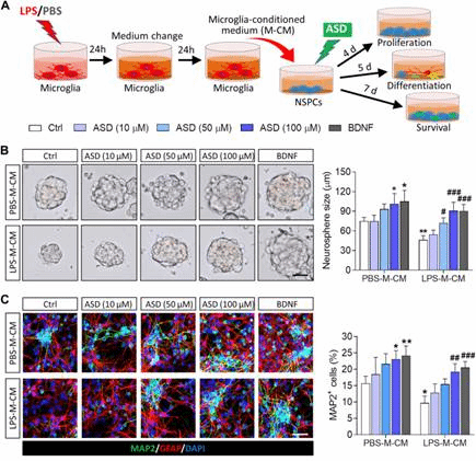 https://www.ncbi.nlm.nih.gov/pmc/articles/instance/9468712/bin/fphar-13-927419-g001.jpg