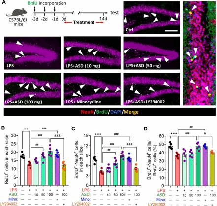 https://www.ncbi.nlm.nih.gov/pmc/articles/instance/9468712/bin/fphar-13-927419-g005.jpg